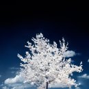 사무자동화산업기사_실기_기출문제 이미지