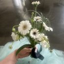 디스베리데이 | 강릉 웨딩촬영 후기, 미니크스튜디오, 워니사라블랑, 디스베리데이