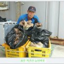 흥국농장 이미지