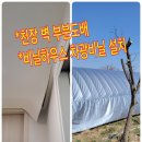 봄바람하우스 | 광교, 수 원, 분당, 성남/천장 부분도배 및 비닐하우스 비닐 차광막 설치 작업 후기