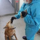 경기용인지역자활센터[더 건강하개] 이미지