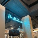 감삼동343 | 대구 감삼동 죽전네거리 본리동 헬스장 - 프로애슬래틱클럽