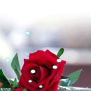 우리들의 블루스 OST 전곡모음 이미지