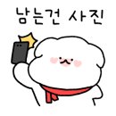 강아지 유치원 caredogs 이미지