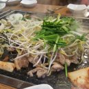 황금오리 이미지