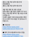 생각하는황소분당학원