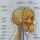 뷰티테라피연구소 네이버블로그