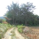 장마루보건진료소 이미지