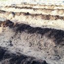 여주-1131 이미지