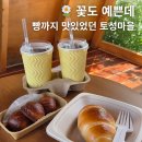 청원사과마을 | 대전근교 드라이브 추천 | 샤스타데이지 만개한 청주 토성마을 후기