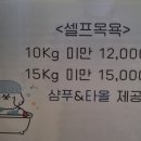 멈머즈 이미지