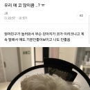 해피타임