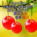 까망 Daum카페