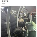 들뜬상태의 버스 ㅋㅋㅋㅋㅋ 이미지