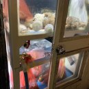방천산곰장어 | (대구방천시장맛집)대구꼼장어맛집/김광석거리맛집/방천시장맛집추천/방천 산 꼼장어 직접 먹어 본 후기