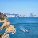 해파랑길관광안내소 이미지