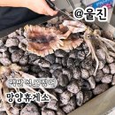CU7번국도점 | 망양휴게소 오징어 7번국도 네비 여행 드라이브 코스