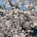 산격 이미지