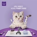 롯데구두방