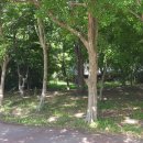 패밀리야영장 이미지