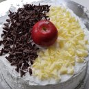 정선초등학교 이미지