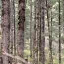 사천공항관광안내소 | [2025 사천 졸업여행] 구채구