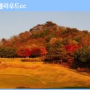 티클라우드 CC 그늘집15