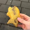 빅팥 | 소문난 혜화 붕어빵 : 후기 | 혜화역 4번출구 붕어빵, 옥수수 파는 곳 | 팥, 슈크림, 고구마, 김치즈