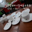 예쁜꽃그리기(보테니컬아트) 이미지