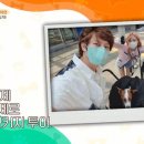 펫키지