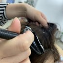 리엑스류헤어샵 네이버블로그