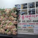 테라 노래연습장 이미지