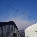 수호네 농장 이미지