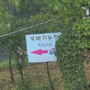 선길농장 | [김포 또바기농장] 표고버섯체험 서울 근교 아이와 가볼만한 곳 추천 김포 체험장 내돈내산 후기