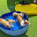 놀러오개 서대문점 이미지