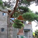 영락농원 -4 이미지