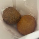 선유도역 생면파스타 <비아세라> 꽃집과 함께하는 분위기 맛집 라구파스타 비스크 후기
