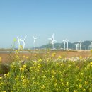 낭만 태양광발전소 이미지