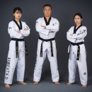 인하논현태권도장 네이버블로그