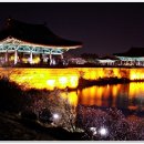 경주 - 김해시 가야로 287 | 경주