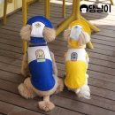 댕냥이 이미지