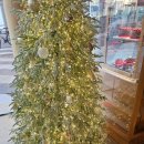 다시터미널 | 서울갔다가 다시 대구로 내려가요~ ✔️서울고속터미널 내 (타코벨 먹어본 후기)