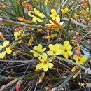 봄이 왔나 봄 이미지