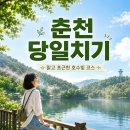 춘천닭갈비 주식회사 | 춘천 혼자여행 당일치기｜소양강 걷고 카페까지 현실 코스