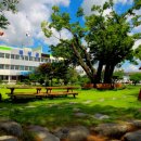 곡성군청 민원실 이미지