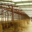 대성목장 이미지