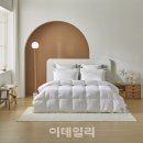 연충 이미지