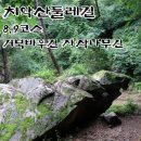 치악산둘레길 9코스 자작나무길 | 치악산둘레길 8,9코스