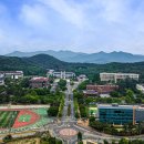 동국대학교(WISE) 불교문화대학원 이미지