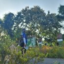 행정2길 이미지